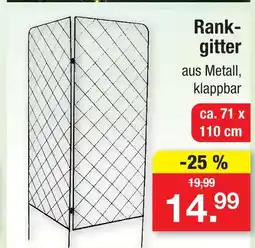 Zimmermann Rankgitter Angebot
