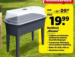 Hagebau Hochbeet bloomo Angebot