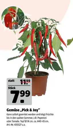 Hagebau Gemüse 'pick & joy' Angebot