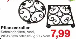 Wiglo Wunderland Pflanzenroller Angebot