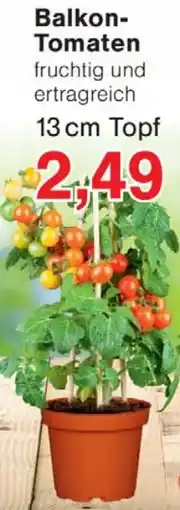 Wiglo Wunderland Balkon Tomaten Angebot