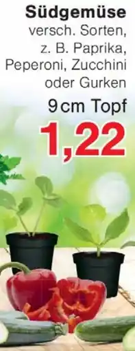 Wiglo Wunderland Südgemüse Angebot