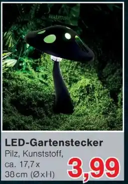 Wiglo Wunderland LED-Gartenstecker Angebot