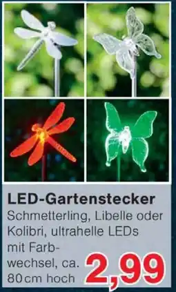 Wiglo Wunderland LED-Gartenstecker Angebot