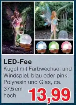 Wiglo Wunderland LED-Fee Angebot
