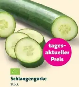 Biomarkt Schlangengurke Angebot