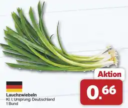 Famila Nord West Lauchzwiebeln Angebot