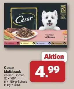 Famila Nord West Cesar Multipack Angebot