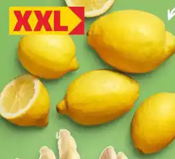 Kaufland Span. Zitronen XXL Angebot