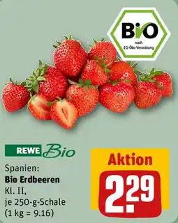 REWE REWE Bio Erdbeeren Angebot