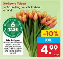 Netto Marken-Discount Großbund Tulpen XXL Angebot