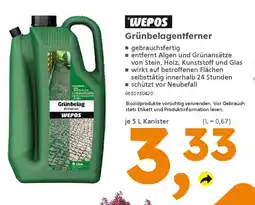 Globus Baumarkt WEPOS Grünbelagentferner Angebot