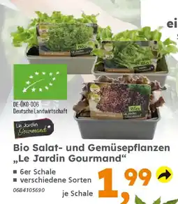 Globus Baumarkt Bio Salat- und Gemüsepflanzen ,,Le Jardin Gourmand" Angebot