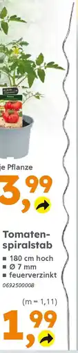 Globus Baumarkt Tomaten- spiralstab Angebot