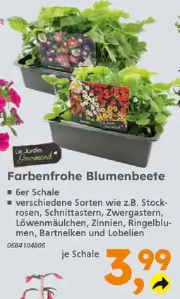 Globus Baumarkt Farbenfrohe Blumenbeete Angebot