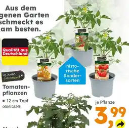 Globus Baumarkt Le Jardin Tomatenpflanzen Angebot