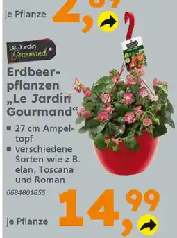 Globus Baumarkt Erdbeer- pflanzen ,,Le Jardin Gourmand" Angebot