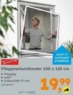 Globus Baumarkt TrendLine Fliegenschutzfenster 100 x 120 cm Angebot