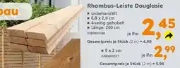 Globus Baumarkt Rhombus-Leiste Douglasie Angebot