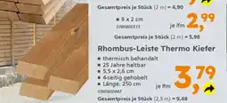 Globus Baumarkt Rhombus-Leiste Thermo Kiefer Angebot