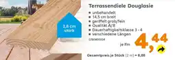 Globus Baumarkt Terrassendiele Douglasie Angebot