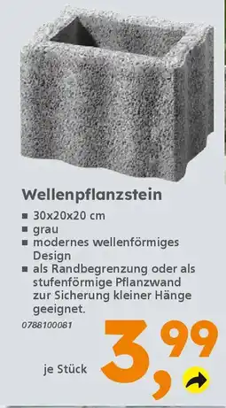Globus Baumarkt Wellenpflanzstein Angebot