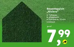 Globus Baumarkt Rasenteppich "Riviera" Angebot