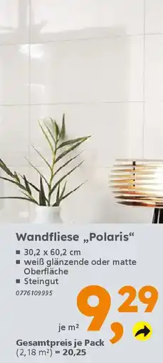 Globus Baumarkt Wandfliese „Polaris" Angebot