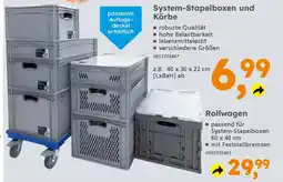 Globus Baumarkt System-Stapelboxen und Körbe Angebot
