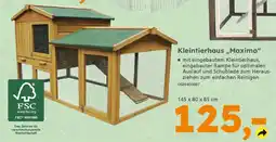 Globus Baumarkt Kleintierhaus,,Maximo" Angebot