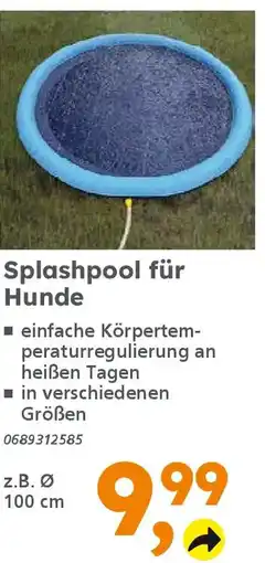Globus Baumarkt Splashpool für Hunde Angebot