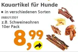 Globus Baumarkt Kauartikel für Hunde Angebot
