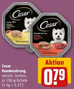 REWE Cesar Hundenahrung Angebot