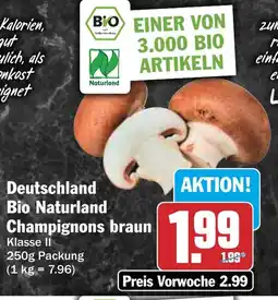 HIT Deutschland Bio Naturland Champignons braun Angebot