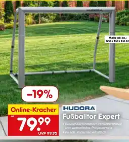 Netto Marken-Discount Hudora Fußballtor Expert Angebot