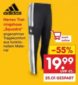 Netto Marken-Discount Adidas Herren Trainingshose Squadra Angebot