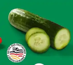 Lidl Mini Bio Gurken Angebot