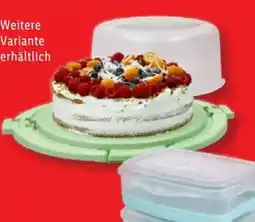 Lidl SilverCrest Kühl-Lunchboxen Angebot