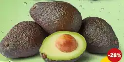 PENNY Marktliebe Avocado Angebot