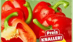 PENNY Rote Paprika Angebot
