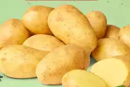PENNY Marktliebe Speisekartoffeln XXL Angebot
