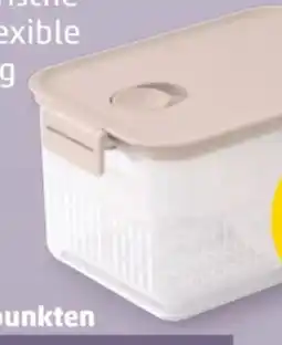 PENNY Brabantia Kühlschrank Frischhalteboxen Angebot