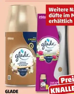 PENNY Glade (by Brise) Automatic Spray Lufterfrischer Angebot
