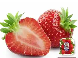 Edeka SanLucar Erdbeeren Angebot