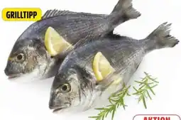 Edeka Dorade Royale Angebot