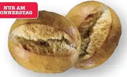 Scheck-in-Center Scheck-in Bäckerei Brötchenrad Angebot