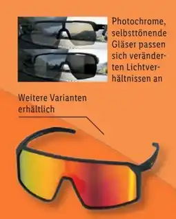 Lidl Crivit Premium Fahrrad Sportbrille Angebot