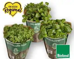 Edeka Unsere Heimat Echt & Gut Bio Petersilie kraus Angebot