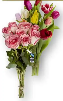 Edeka Fairtrade Rosenstrauß Bicolor Angebot