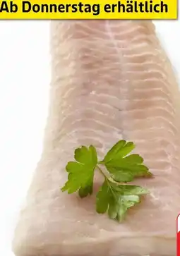 Edeka Steinbeißerfilet Angebot